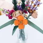 公寓 Souvenirs D'enfance-la Bonne Marienne-la Madeleine