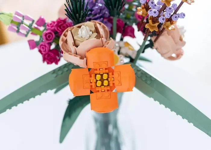 Lägenhet Souvenirs D'enfance-la Bonne Marienne-la Madeleine